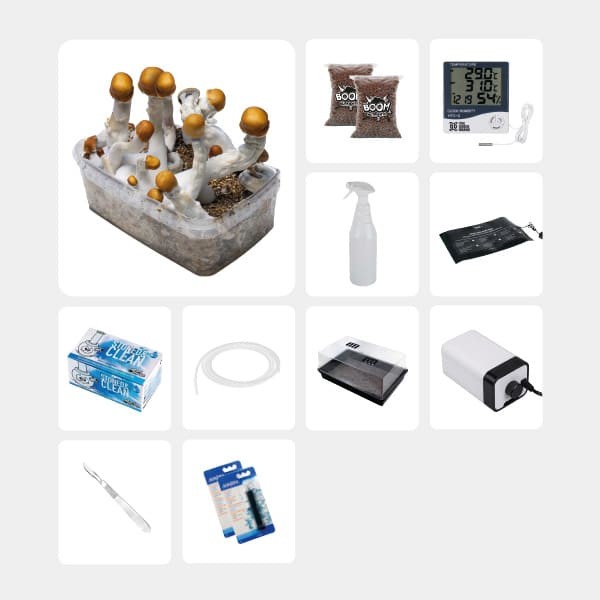 Kit complet pour études mycologiques B+