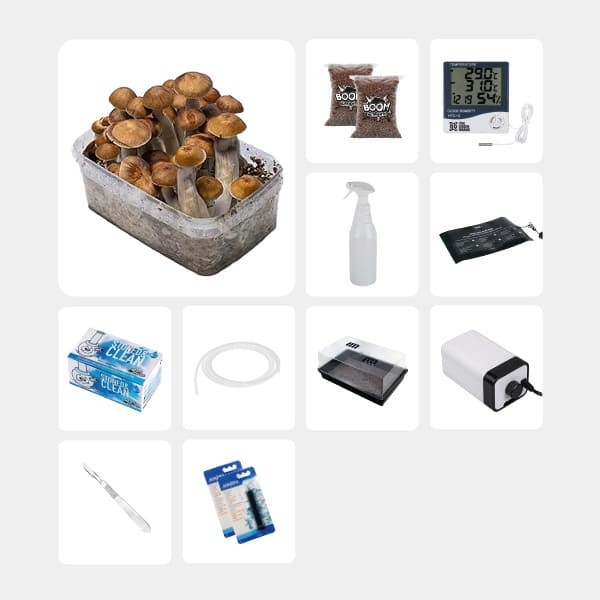 Kit complet pour études mycologiques Mazatapec