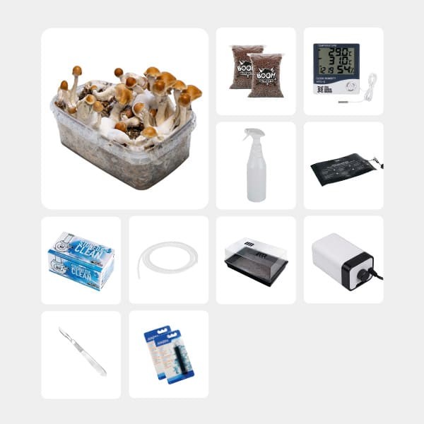 Kit complet pour études mycologiques Amazonian