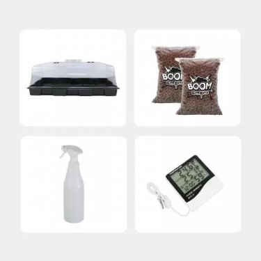 Kit de Culture de Champignons magiques économique