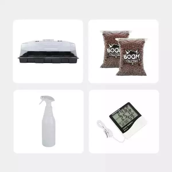 Voir Kit de Culture de Champignons magiques économique