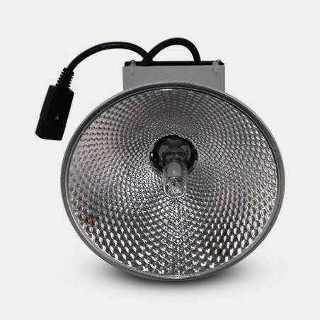 Kit LEC Innotech 150 W pour espaces réduits - Grow Barato