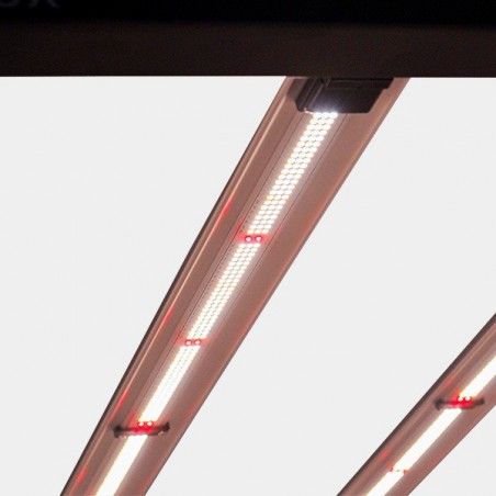 Système LED Galaxy Solux pour intérieur - Grow Barato