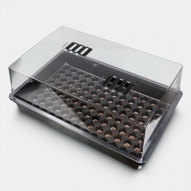 Kit de propagation + plateau