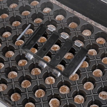 Kit Mini-serre + Plateau Jiffy 22 mm 104 alvéoles