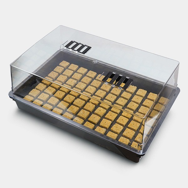 Kit de propagation + plateau de laine de roche 77 alvéoles
