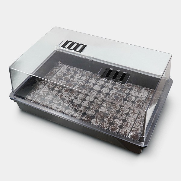 Kit mini-serre + Plateau pour semis plugins 104 alvéoles