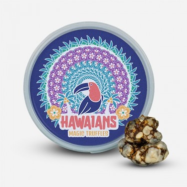High Hawaiians 🌸 Truffes avec la plus grande quantité de psilocybine