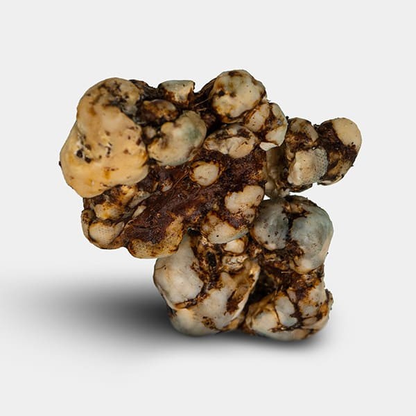 Truffes Sex on the Beach 🌴💋 - GB The Green Brand