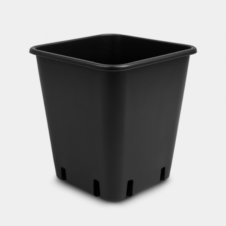 Pots pour Wilma