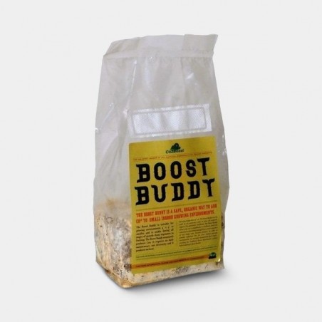 CO2 Boost Buddy générateur de CO2 pour indoor - Grow Barato