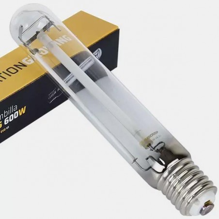 Acheter Ampoule 600 W Evo - GB The Green Brand
