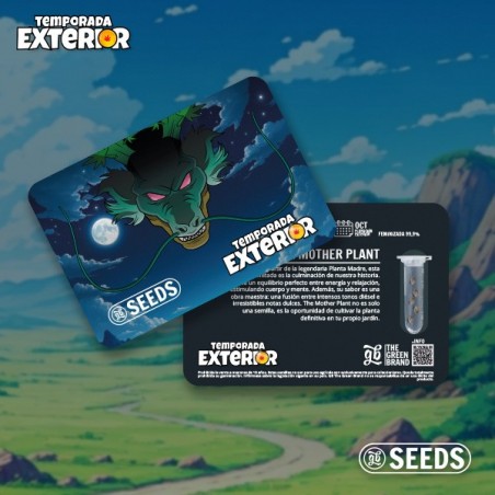 The Mother Plant (Édition limitée), cartes