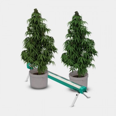 LED Under Canopy 120W PRO GB Lighting détail plantes fonctionnement