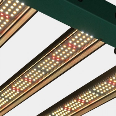 Système LED dimmable 240 W PRO GB Lighting allumé détail