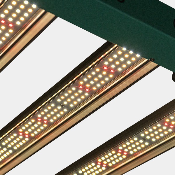 Système LED dimmable 240 W PRO GB Lighting allumé détail