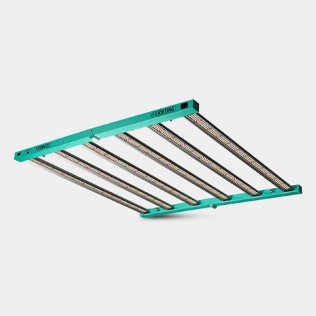 Système LED Dimable 720W PRO MAX GB Lighting allumé