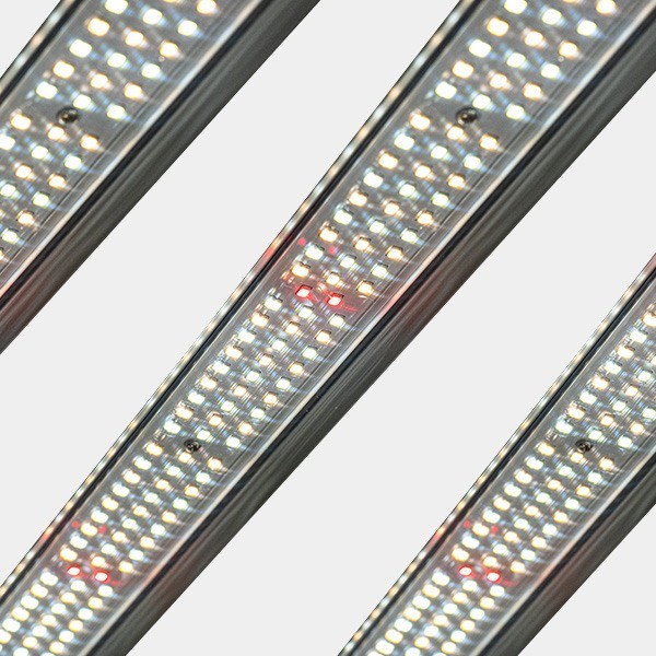 Système LED Dimable 720W PRO MAX GB Lighting détail LED