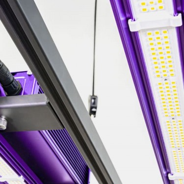 LED Zeus 465W Pro 3.1 Lumatek