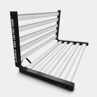 Platinum King LED 1000W avec Régulateur