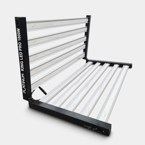 Platinum King LED 1000W avec Régulateur