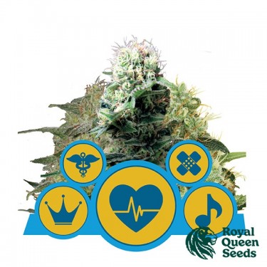 Acheter CBD Mix de Royal Queen Seeds - Grow Barato