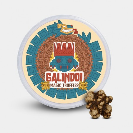 Truffes Galindoi
