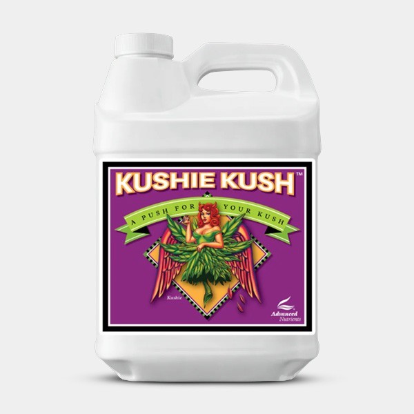 Kushie Kush booster d'Advanced Nutrients - Grow Barato