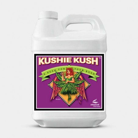 Kushie Kush grand format