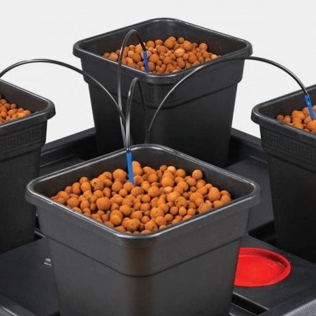 Système Hydroponique Wilma Large 4 pots 11L - Grow Barato