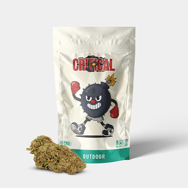 Voir Fleurs CBD GB Outdoor 'Critical +' - GB The Green Brand