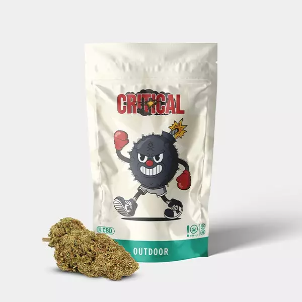 Voir Fleurs CBD GB Outdoor 'Critical +' - GB The Green Brand