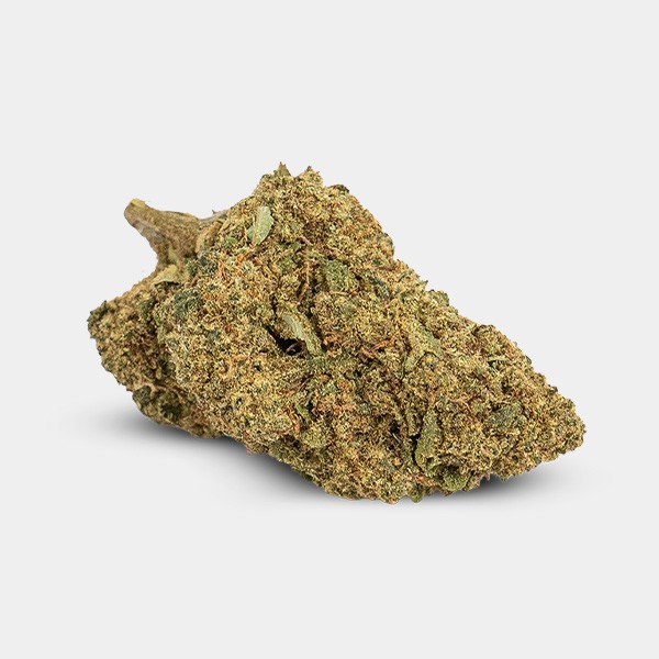 Fleurs CBD Indoor GB 'Gelatto'