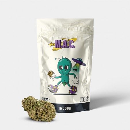 Fleurs CBD GB Indoor 'Miracle Alien Cookies'