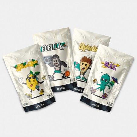 Kit Sommelier Indoor Fleurs CBD GB - GB The Green Brand