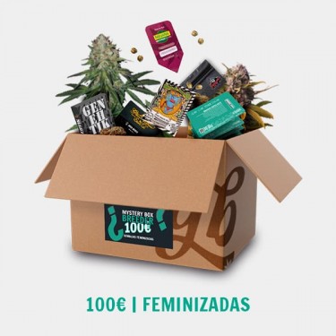 Breeder Mystery Box FEM