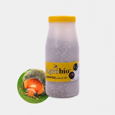 Crypto Control Cochenille » Solution biologique contre la cochenille