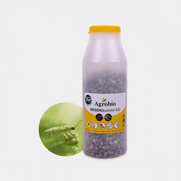 Nesidio Control Mouche blanche ➤ Punaise prédatrice | GB