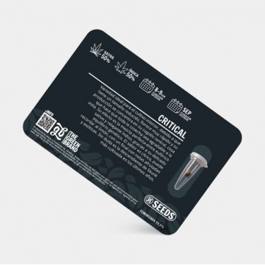 Kit de culture d'intérieur 600 W sans armoire