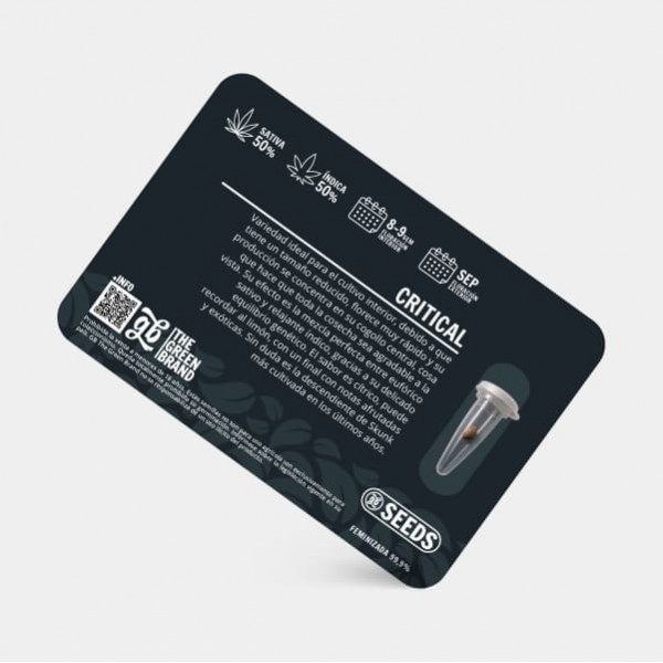 Kit de culture d'intérieur 600 W sans armoire