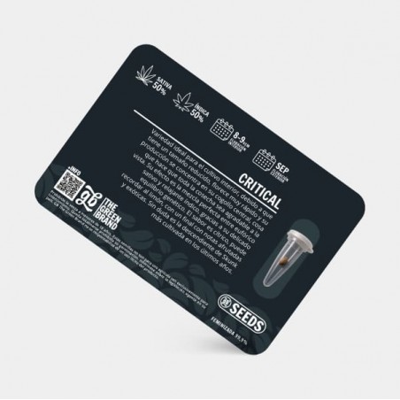 Kit de culture d'intérieur 600 W sans armoire