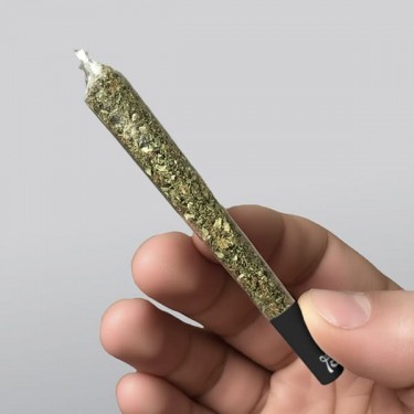 Lion Rolling Circus Big Smoke 100 % cellulose - Grow Barato