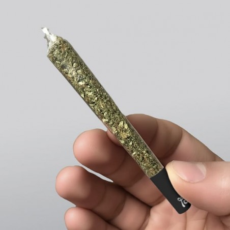 Lion Rolling Circus Big Smoke 100 % cellulose - Grow Barato