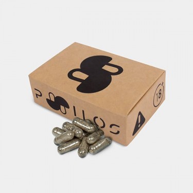 Gélules pour Microdosage de Champignons Psilocybe