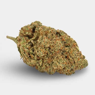 Fleurs CBD KEMA 'Amnesia Haze' 🌸🌺- GB The Green Brand