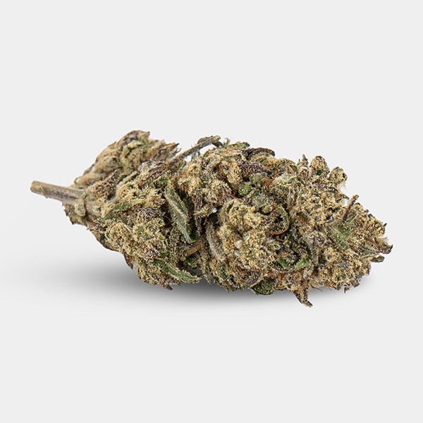 Fleurs CBD KEMA 'Plutonium' 💥☄️- GB The Green Brand