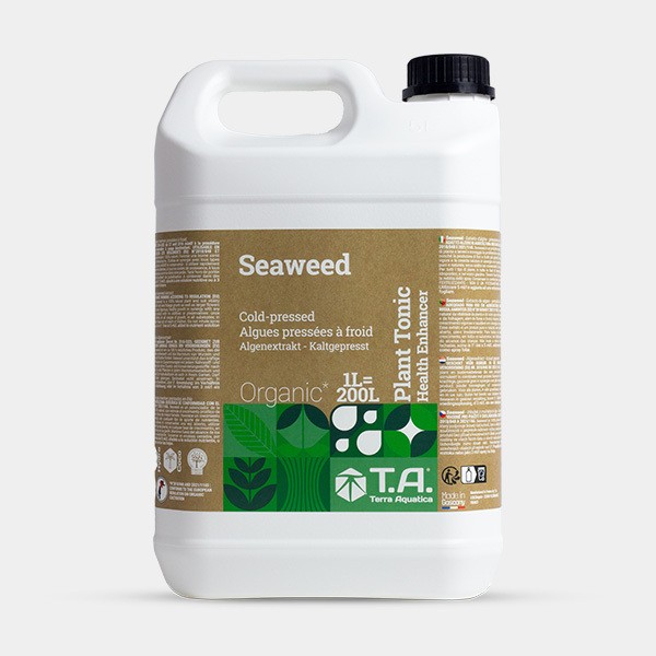 Seaweed Terra Aquatica