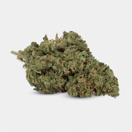 Fleurs CBD GB Outdoor 'OG Kush' - GB The Green Brand