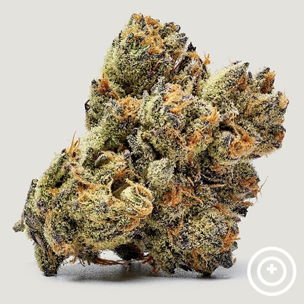 Voir Honey Runtz Purple City Genetics