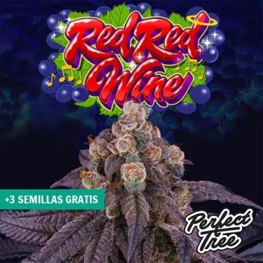 Red Red Wine de Perfect Tree 🍷 【 Avec un arôme de vin 🍇】 | GB